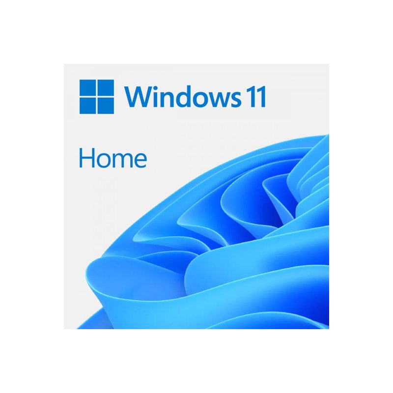 Microsoft Windows 11 Home Single-User ESD License