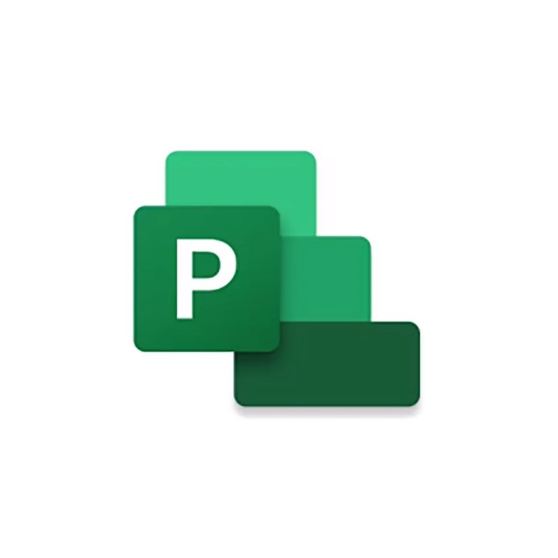 Microsoft Project 2024 Standard ESD Lifetime License