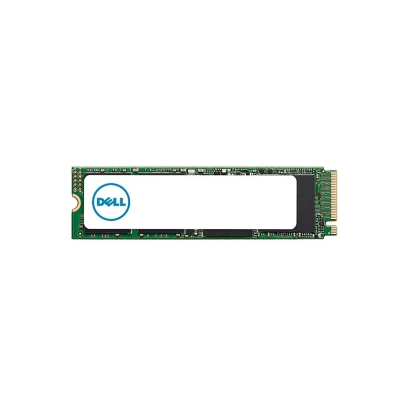Dell 480GB M.2 6Gbps SATA Server SSD