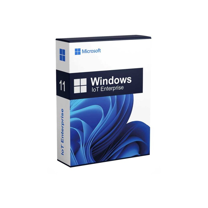 Pinnpos Windows 11 IOT Entry Enterprise 2024 LTSC One Key Per COA License