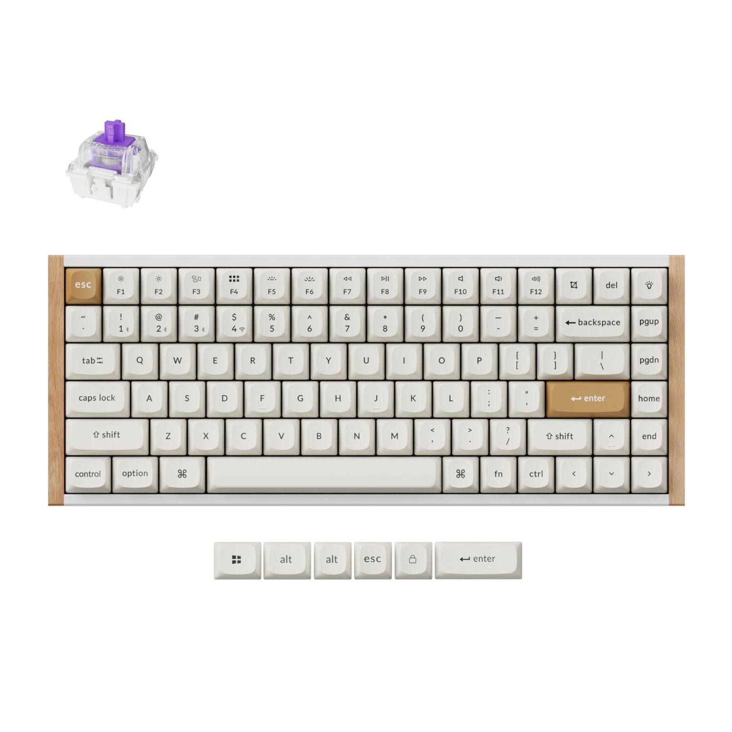 Keychron K2 HE Wireless Special Edition Magnetic Custom Keyboard (K2H-Q1)